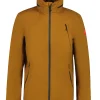 Gosau>DACHSTEIN Discount