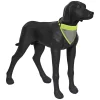 Flip Visible Scarf>RUKKA PETS Best Sale