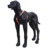 Prozone Harne>ICEPEAK PET Discount