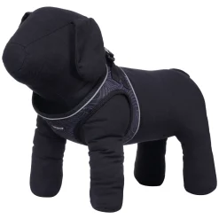 Prozone Mini>ICEPEAK PET Hot