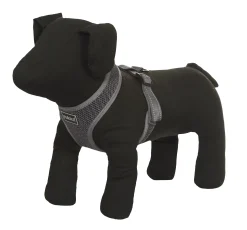 Comfort Air Ha>RUKKA PETS New