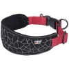Cube Soft Coll>RUKKA PETS Flash Sale
