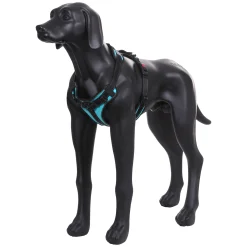 Solid Harness>RUKKA PETS Fashion