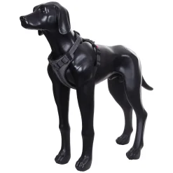 Star Harness>RUKKA PETS Store