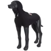 X Leijonat Sierra Sweater>RUKKA PETS Flash Sale